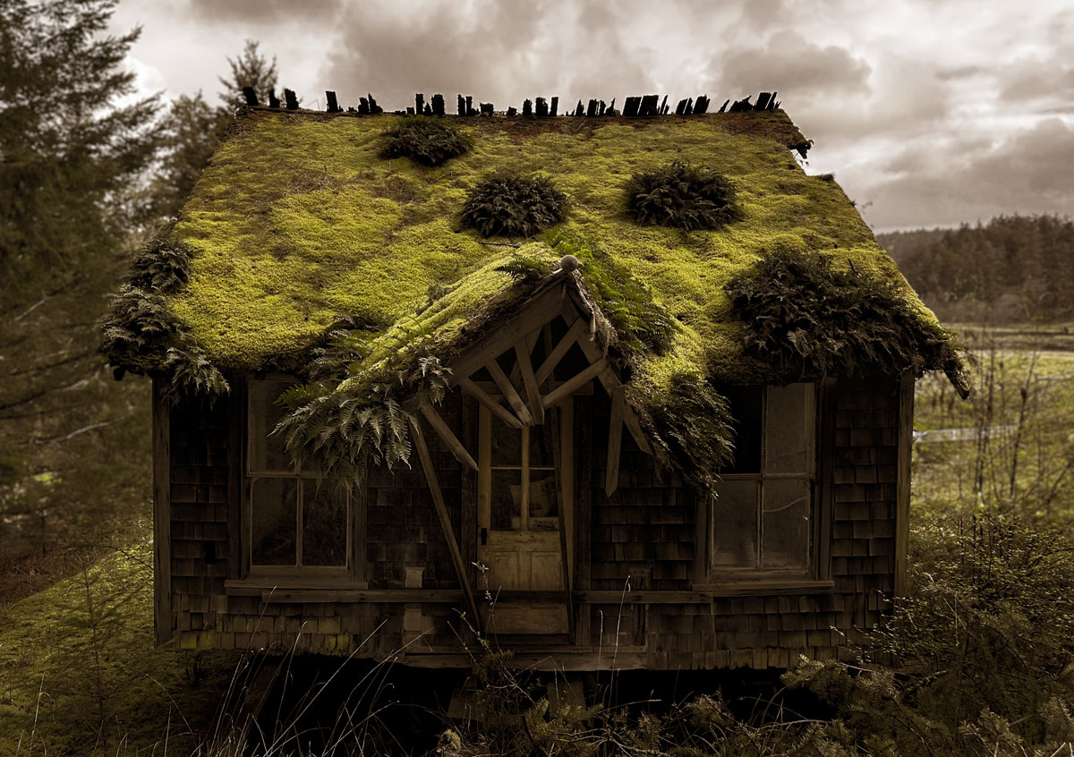 Overgrown-Cabin.jpg