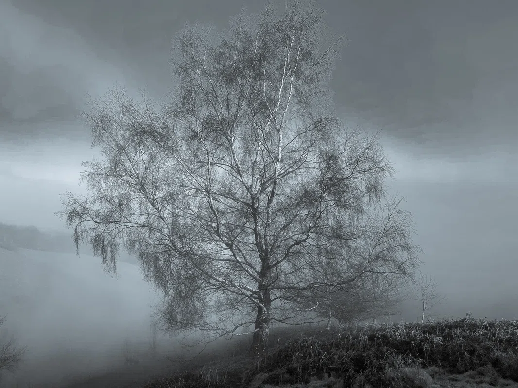 Torin Cosgrove_Artwork1.jpg