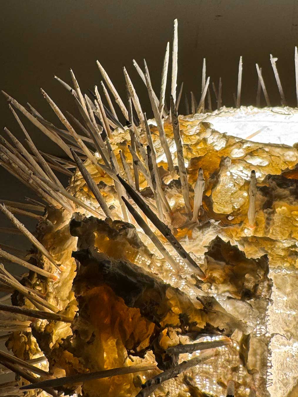 AP 3-D Art and Design student work featured in the 2025 AP Art and Design Exhibit