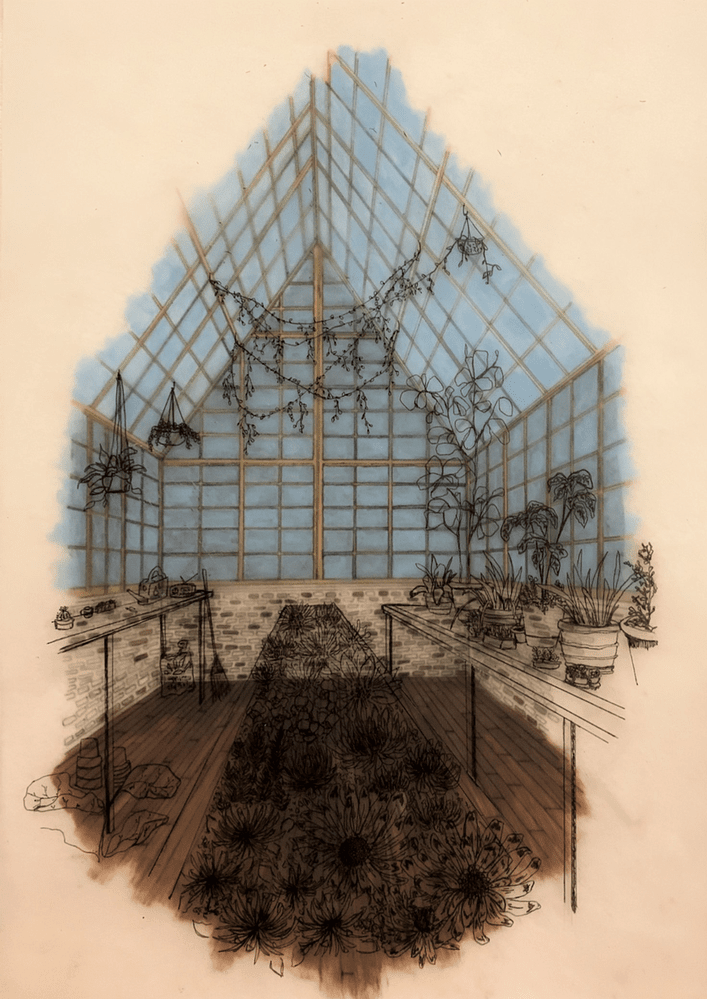 Interior view of glass green house. Plants on side