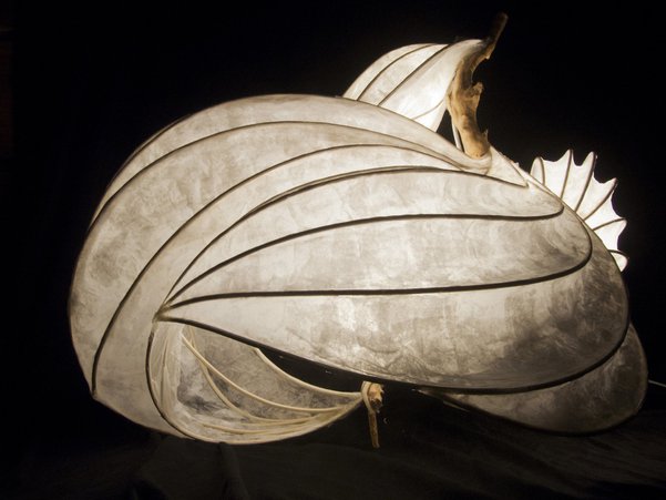 College Board is pleased to showcase Anya Kaloo as part of the 2021 AP Art and Design Exhibit