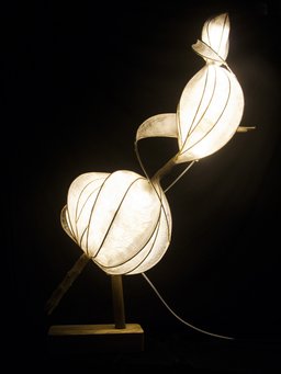View 2 of tissue paper form surrounding lights