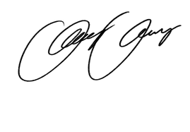 Avery Vang Digital Signature