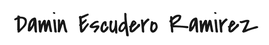 Damin Escudero Ramirez Digital Signature